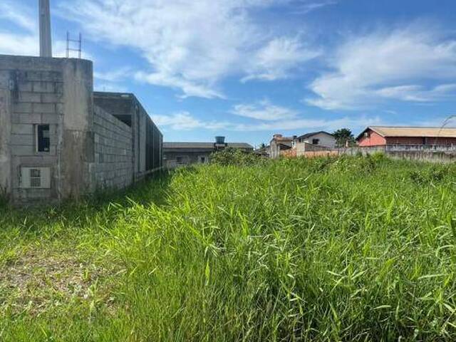 #1408 - Terreno para Venda em Itanhaém - SP - 1