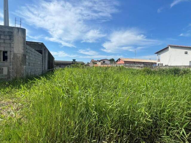#1408 - Terreno para Venda em Itanhaém - SP - 3