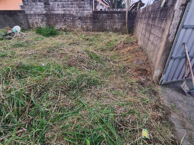 Terreno para Venda em Itanhaém - 4