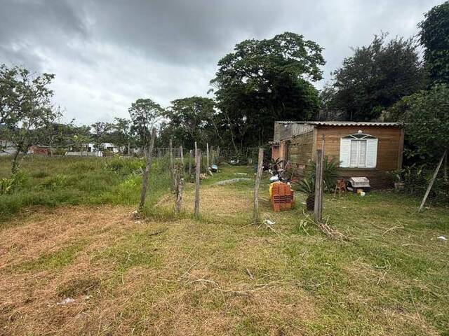 #1451 - Terreno para Venda em Mongaguá - SP - 1