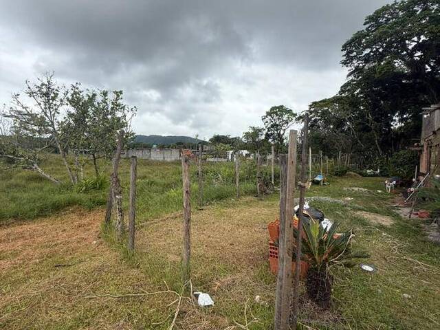 #1451 - Terreno para Venda em Mongaguá - SP - 3