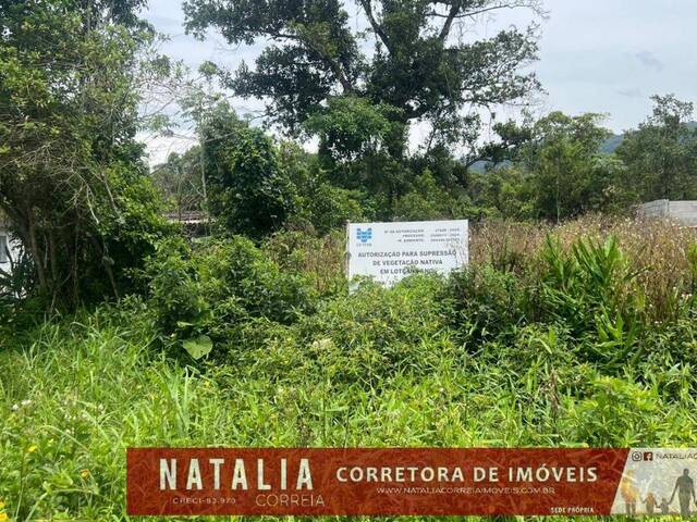 #1462 - Terreno para Venda em Itanhaém - SP - 1