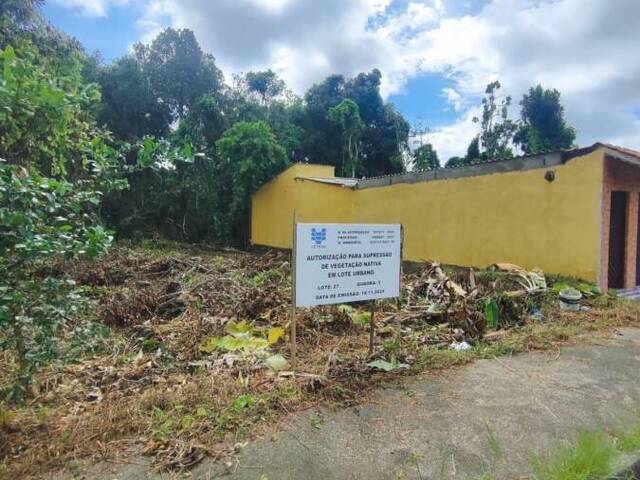 #1479 - Terreno para Venda em Itanhaém - SP - 3
