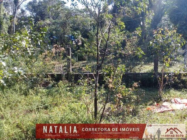 #1484 - Terreno para Venda em Itanhaém - SP - 2