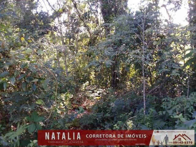 #1484 - Terreno para Venda em Itanhaém - SP - 3