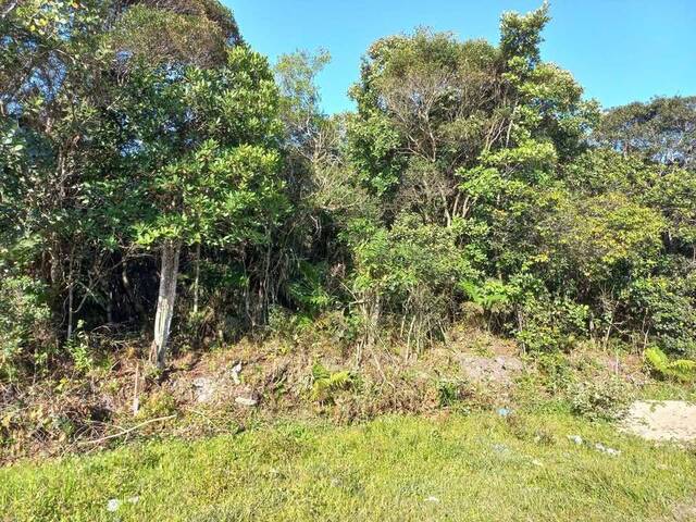 Terreno para Venda em Itanhaém - 4