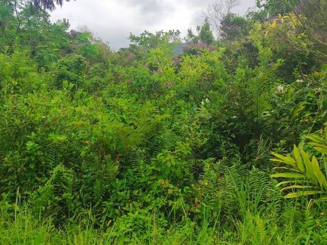 #2000 - Terreno para Venda em Itanhaém - SP - 1