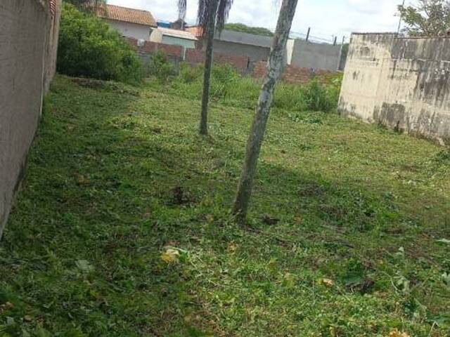 #2004 - Terreno para Venda em Itanhaém - SP - 1