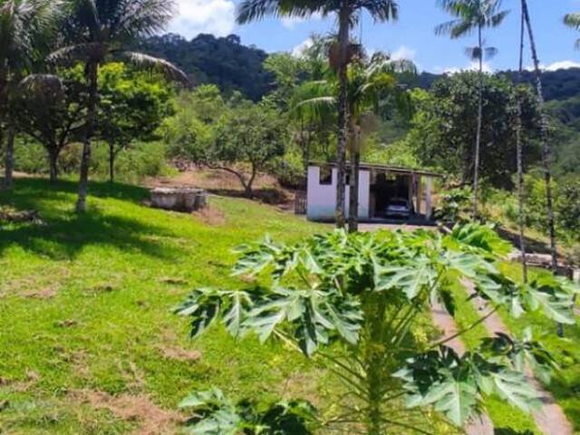 Venda em Raposo - Itariri