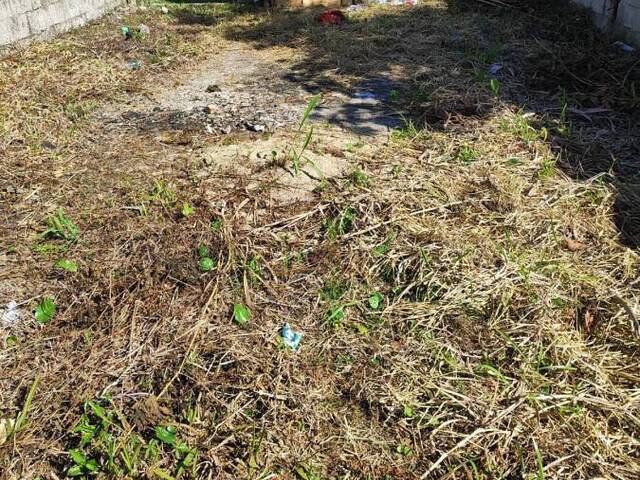 #2036 - Terreno para Venda em Itanhaém - SP - 1