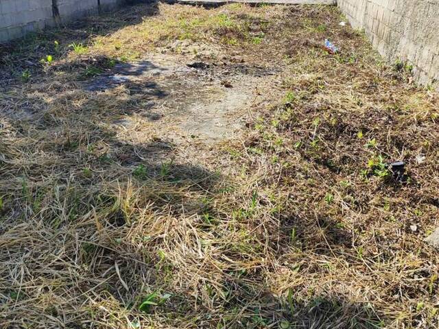 #2036 - Terreno para Venda em Itanhaém - SP - 2