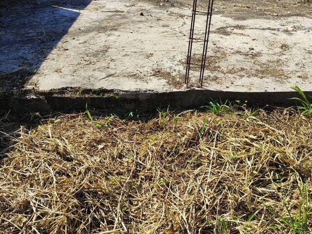 #2036 - Terreno para Venda em Itanhaém - SP - 3