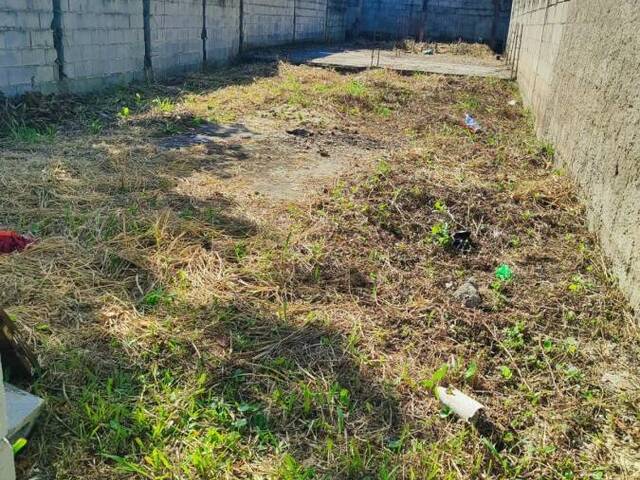 Terreno para Venda em Itanhaém - 4