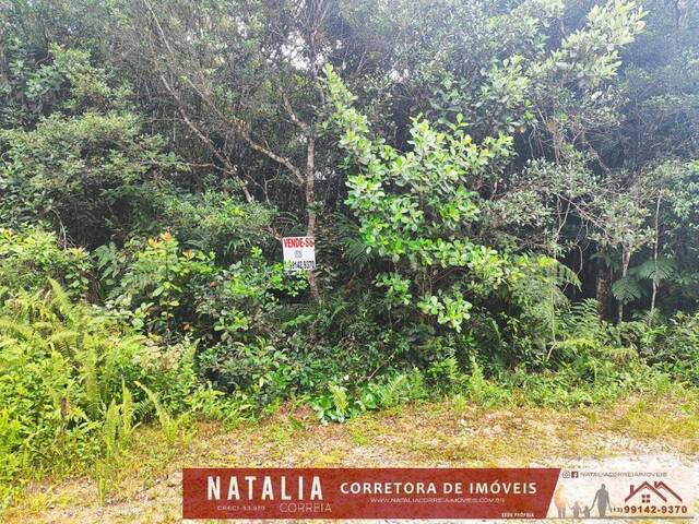 #2039 - Terreno para Venda em Itanhaém - SP - 3
