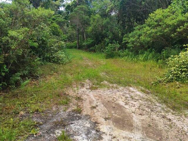 Terreno para Venda em Itanhaém - 5