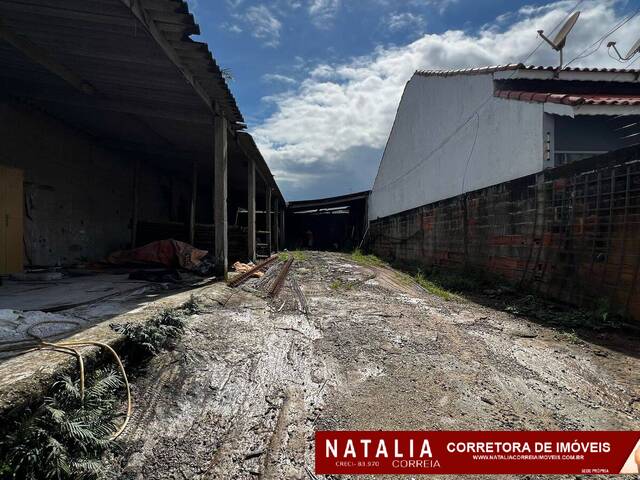 #1652 - Área para Venda em Peruíbe - SP - 2