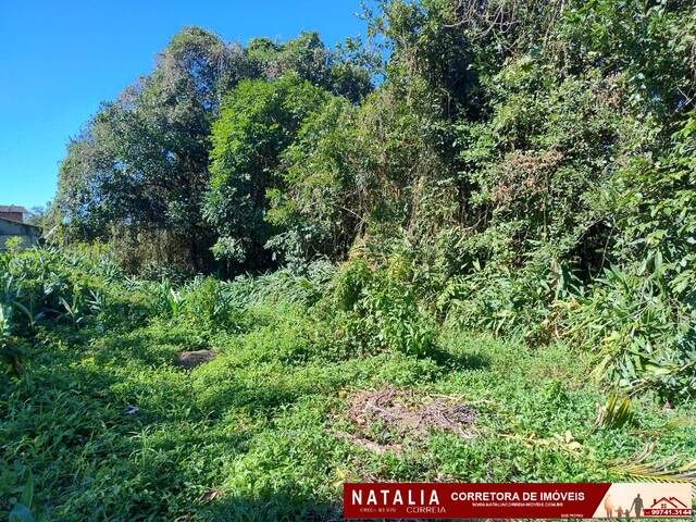 #1705 - Terreno para Venda em Itanhaém - SP - 1