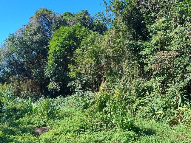 #1705 - Terreno para Venda em Itanhaém - SP - 3