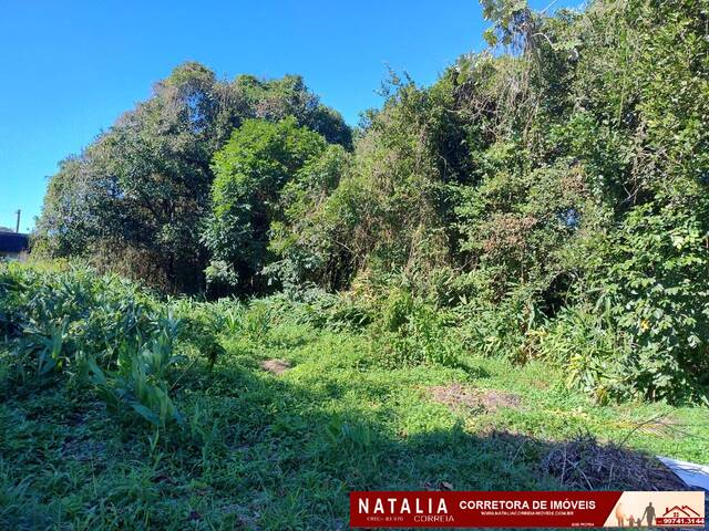 #1705 - Terreno para Venda em Itanhaém - SP - 2