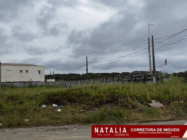 #1384 - Terreno para Venda em Itanhaém - SP - 1