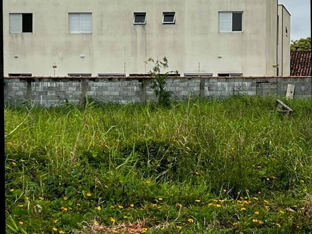 #1384 - Terreno para Venda em Itanhaém - SP - 3