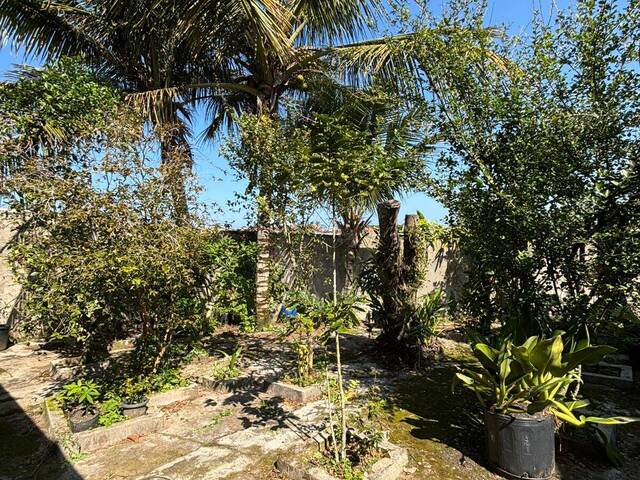 #1742 - Casa para Locação em Itanhaém - SP - 3
