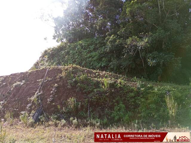 Chácara para Venda em Peruíbe - 5