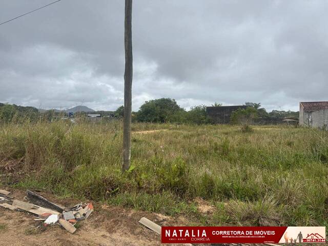 Terreno para Venda em Peruíbe - 4