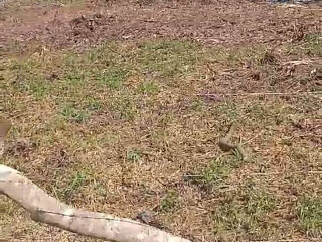 #1818 - Área para Venda em Itanhaém - SP - 2