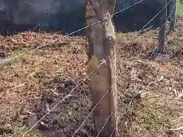 #1818 - Área para Venda em Itanhaém - SP - 3