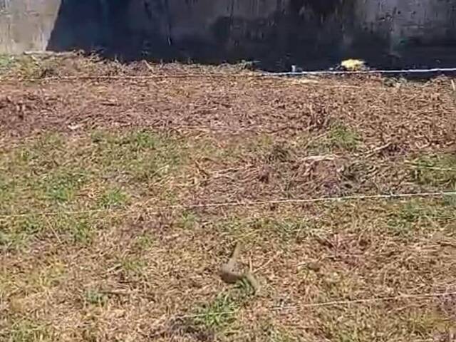 #1818 - Área para Venda em Itanhaém - SP - 1