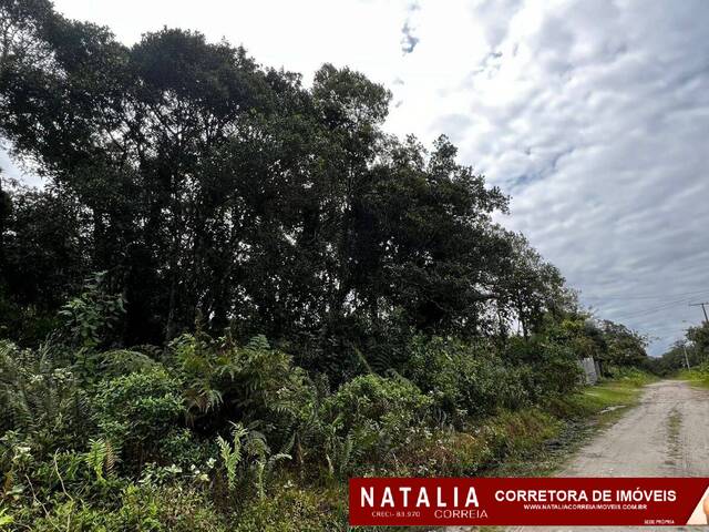 #1820 - Área para Venda em Itanhaém - SP - 1