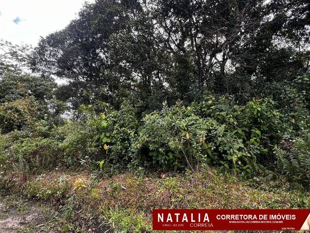 #1820 - Área para Venda em Itanhaém - SP - 3