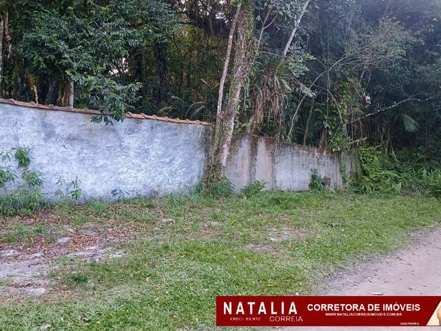 #1844 - Área para Venda em Itanhaém - SP - 1