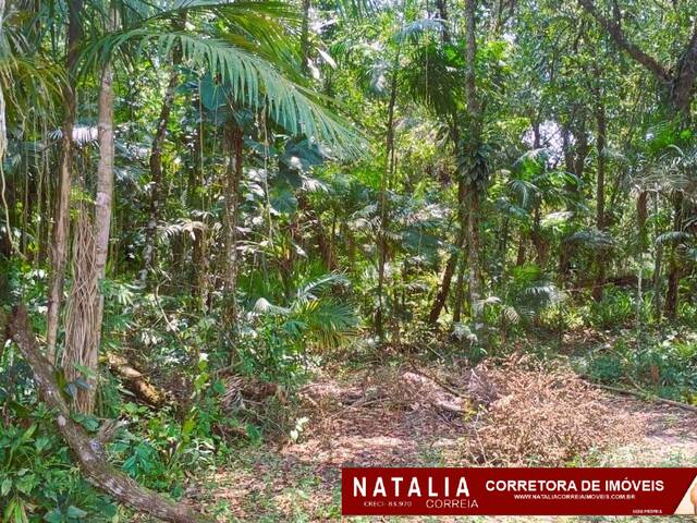 #1844 - Área para Venda em Itanhaém - SP - 3
