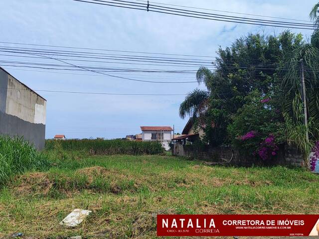#1845 - Área para Venda em Itanhaém - SP - 1