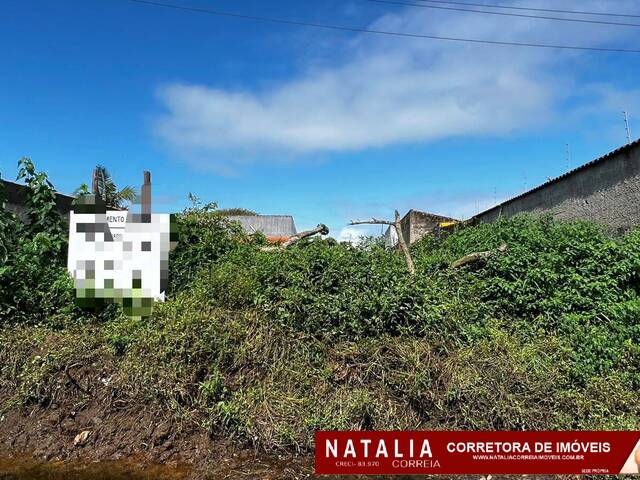 #1812 - Área para Venda em Itanhaém - SP - 1