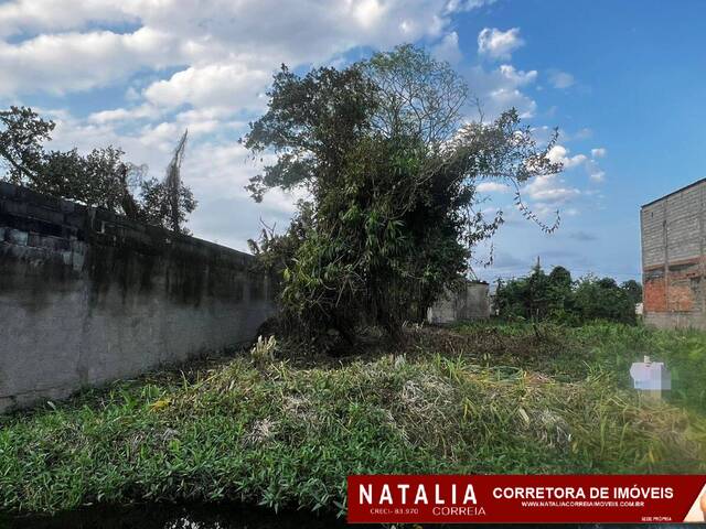 #1853 - Área para Venda em Itanhaém - SP - 3