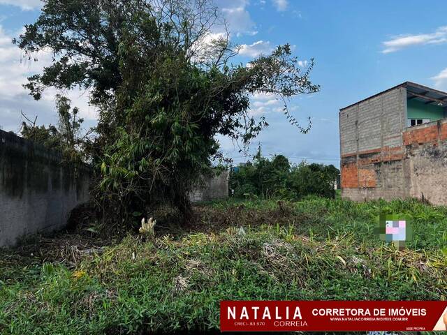 #1853 - Área para Venda em Itanhaém - SP - 1