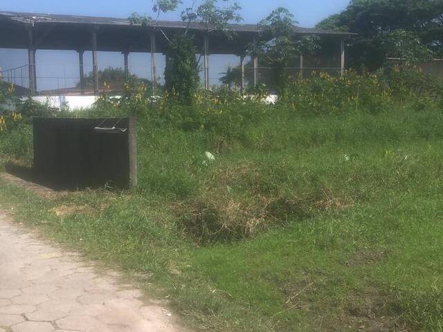 #1863 - Terreno para Venda em Itanhaém - SP - 3