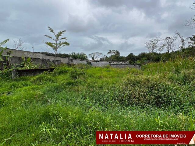 #1867 - Terreno para Venda em Itanhaém - SP - 2