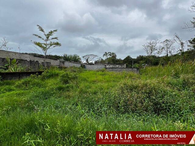#1867 - Terreno para Venda em Itanhaém - SP - 1