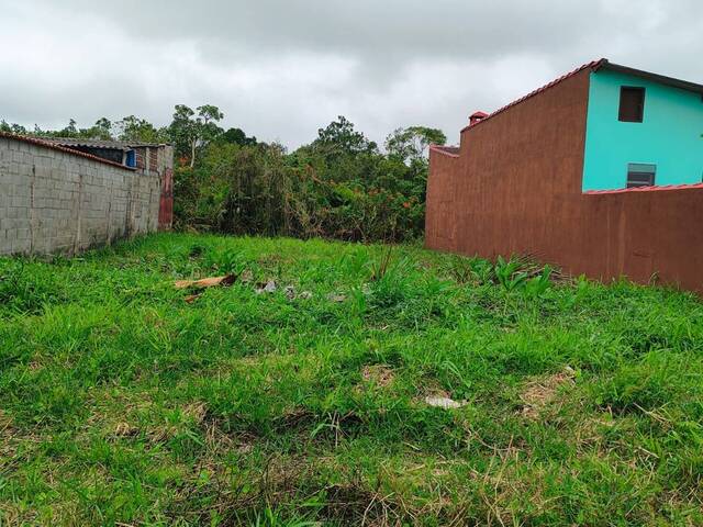 #1889 - Área para Venda em Itanhaém - SP - 1