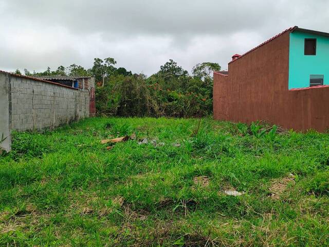 #1889 - Área para Venda em Itanhaém - SP - 3