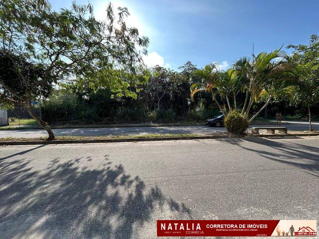 #1910 - Área para Venda em Itanhaém - SP - 3