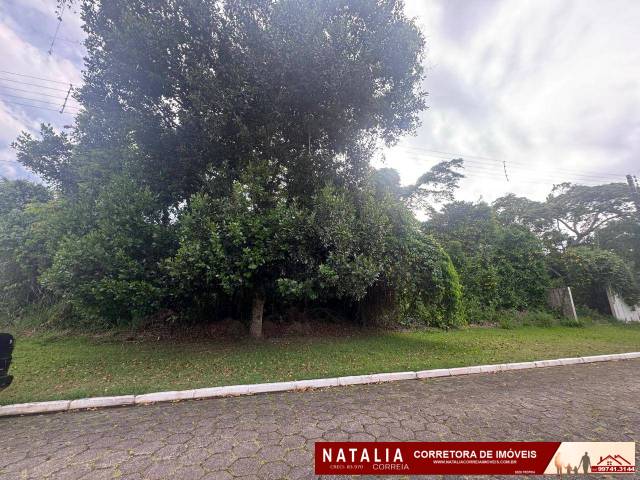 #1784 - Área para Venda em Peruíbe - SP - 3