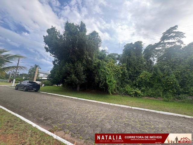 #1784 - Área para Venda em Peruíbe - SP - 2