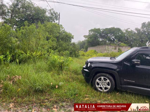 #1826 - Área para Venda em Itanhaém - SP - 2