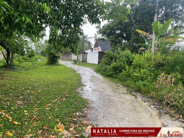 #1826 - Área para Venda em Itanhaém - SP - 3