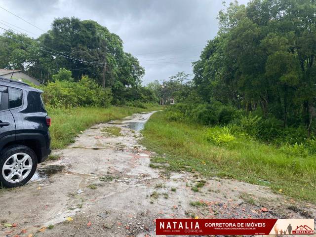 Terreno para Venda em Itanhaém - 4